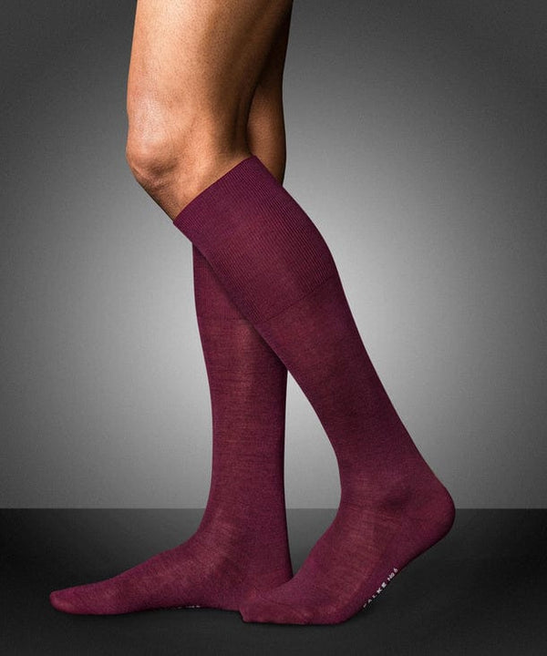 No.6 Wool/Silk Over the Calf Socks - Barolo