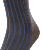 Shadow Stripe Over the Calf Cotton Socks - Brown/Blue